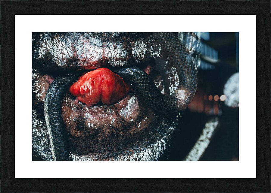 Slither Picture Frame Printing