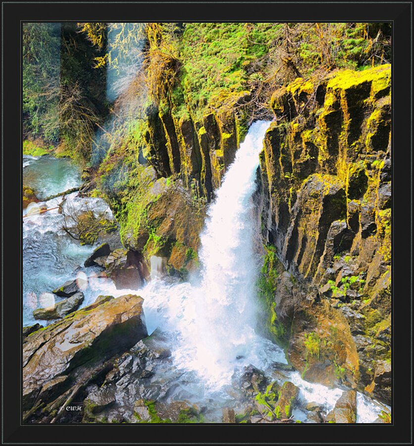 Drift Creek Falls_Holt_RezN888  Framed Print Print