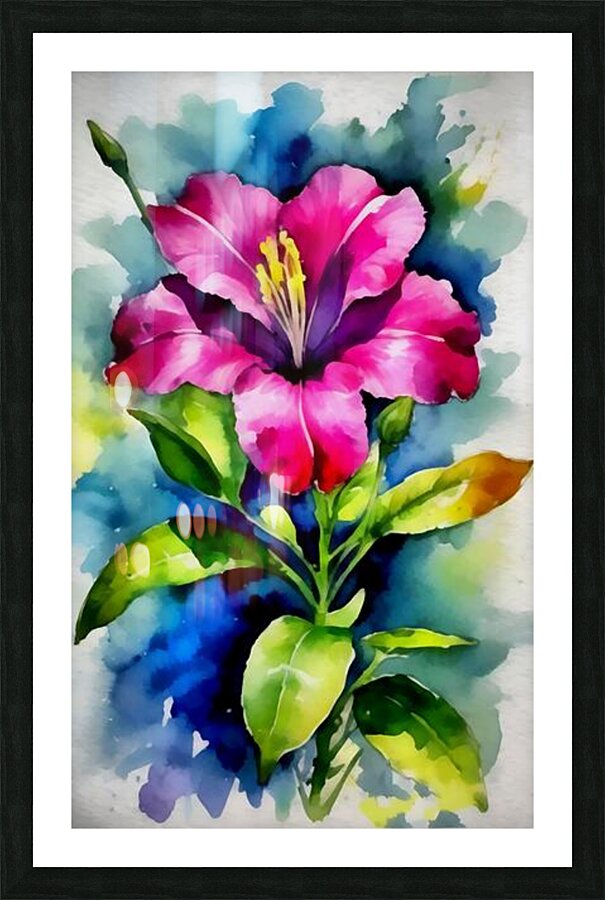 Four o clock flowers14k3 Picture Frame print