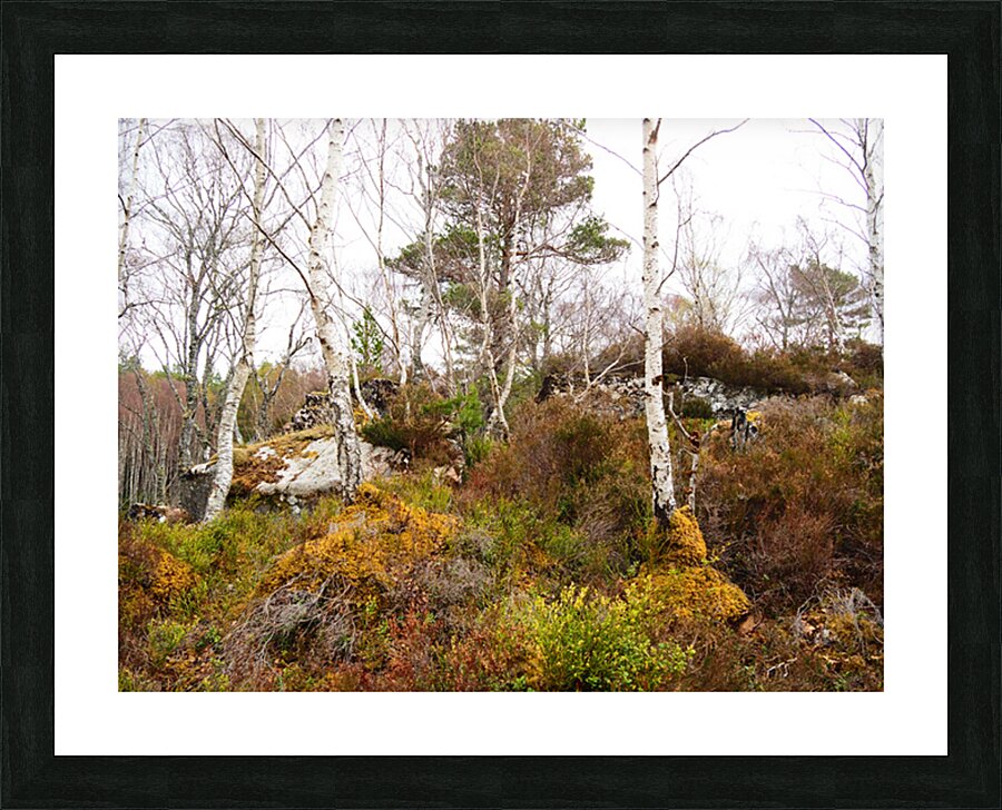   Fairies Delight in the Scottish Highlands                                                                                                                    Picture Frame print
