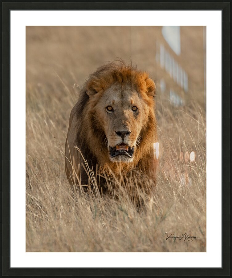 Couleur de feu Picture Frame print