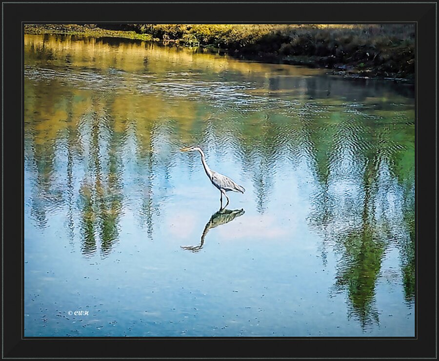 FOREST POND REFELECTIONS  Holt RezN888  Framed Print Print