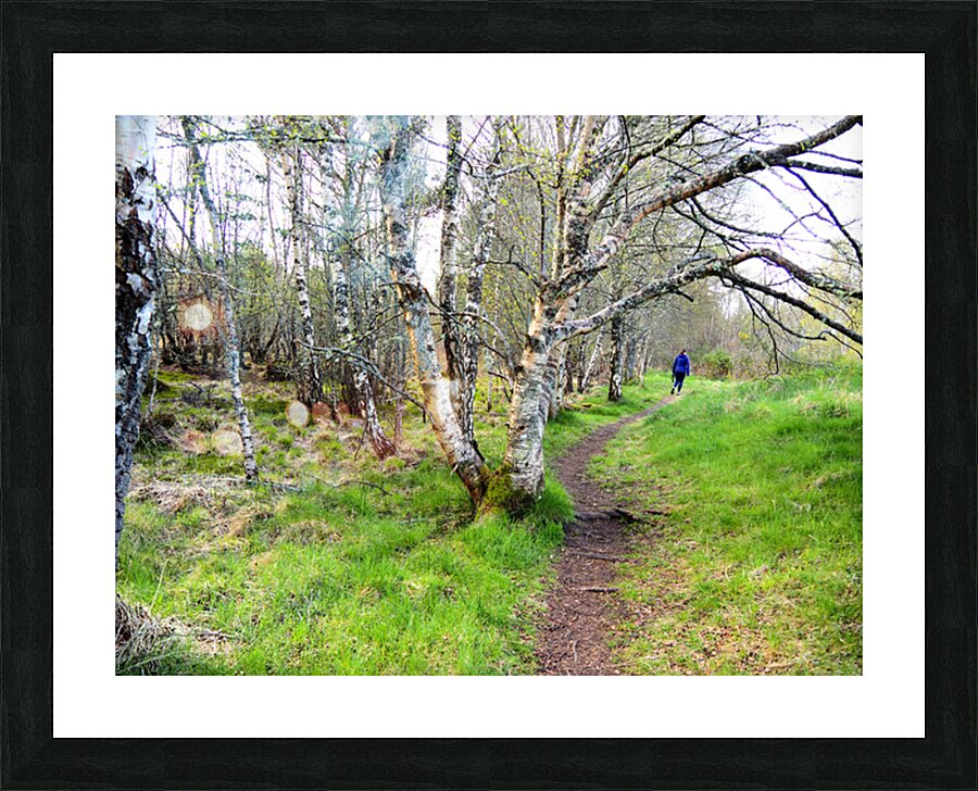  Spring Hike Through the Scottish Highlands                                                                                                                     Picture Frame print
