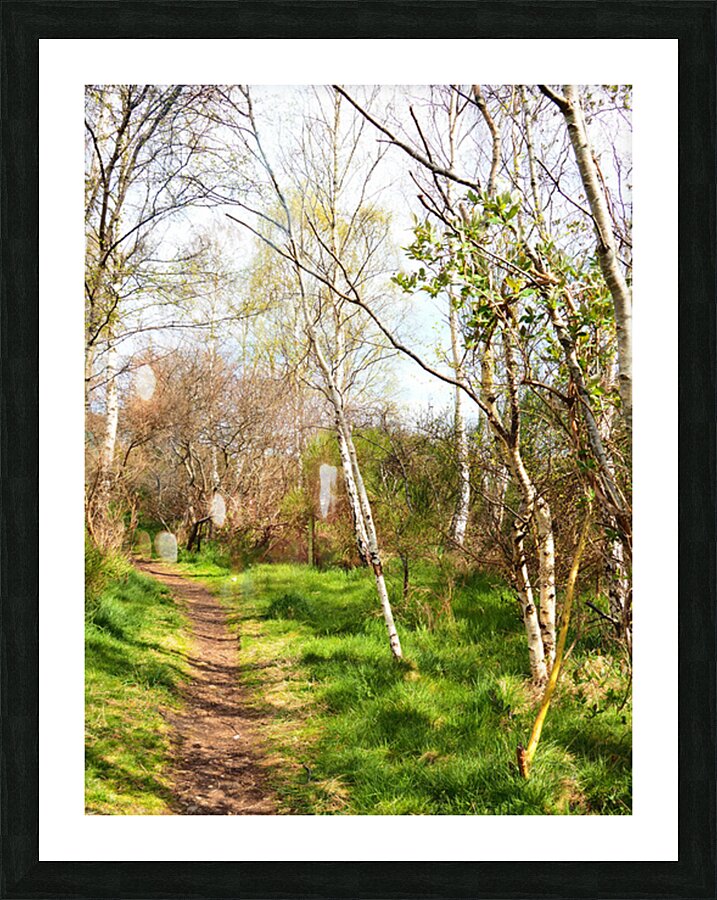 Natures Path Through the Scottish Highlands                                                                                                                    Picture Frame print