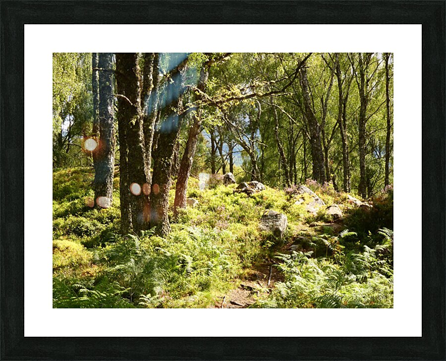 Sunlight Path Through the Scottish Highlands Picture Frame print