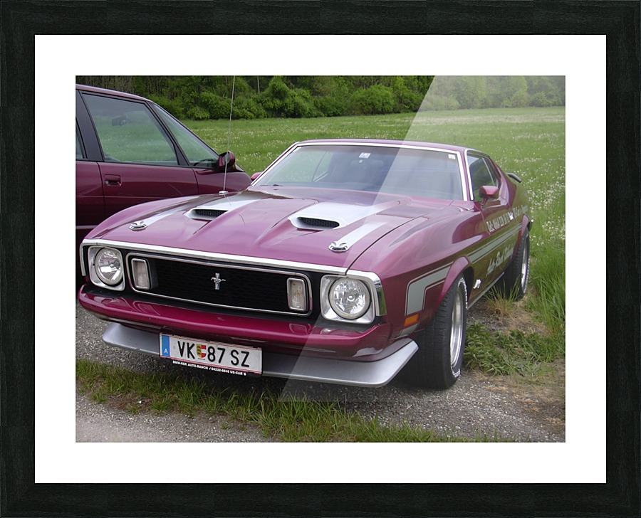  Fine Art print
