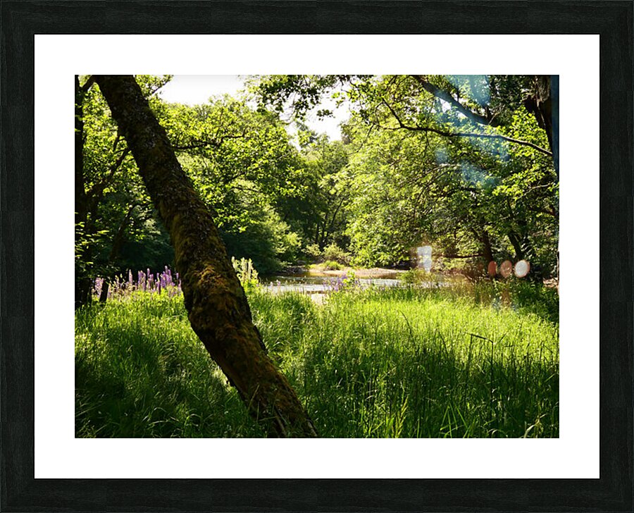 Summer in the Scottish Highlands Picture Frame print