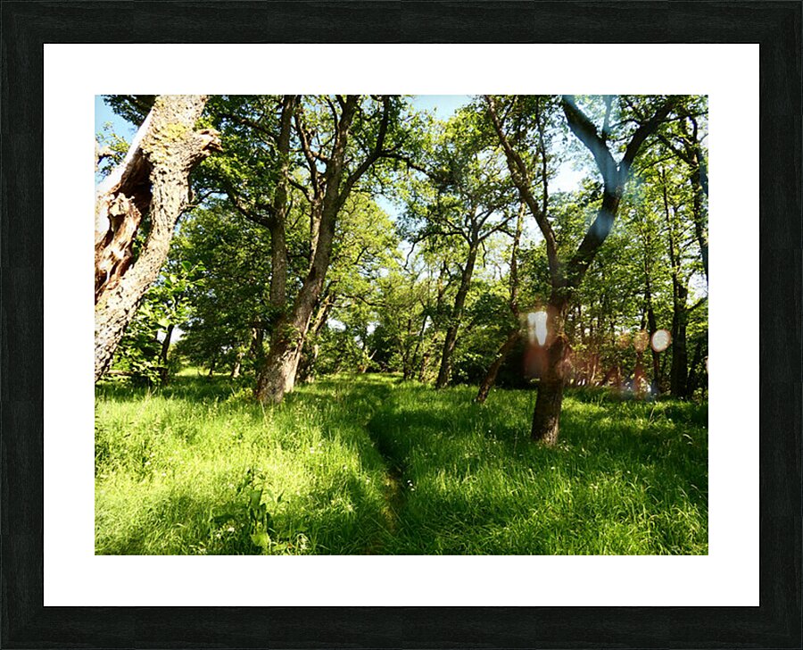 Scottish Highlands Summer Style Picture Frame print