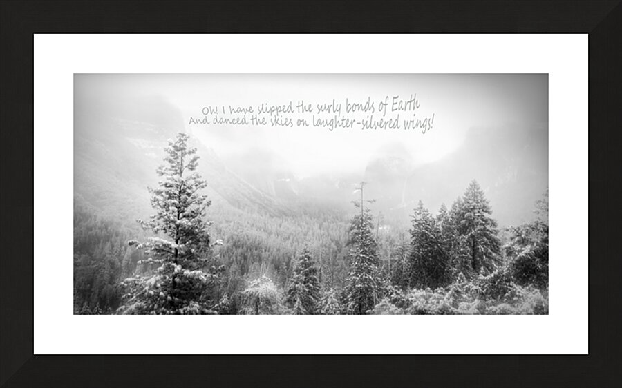 Laughter Silvered Wings Picture Frame print