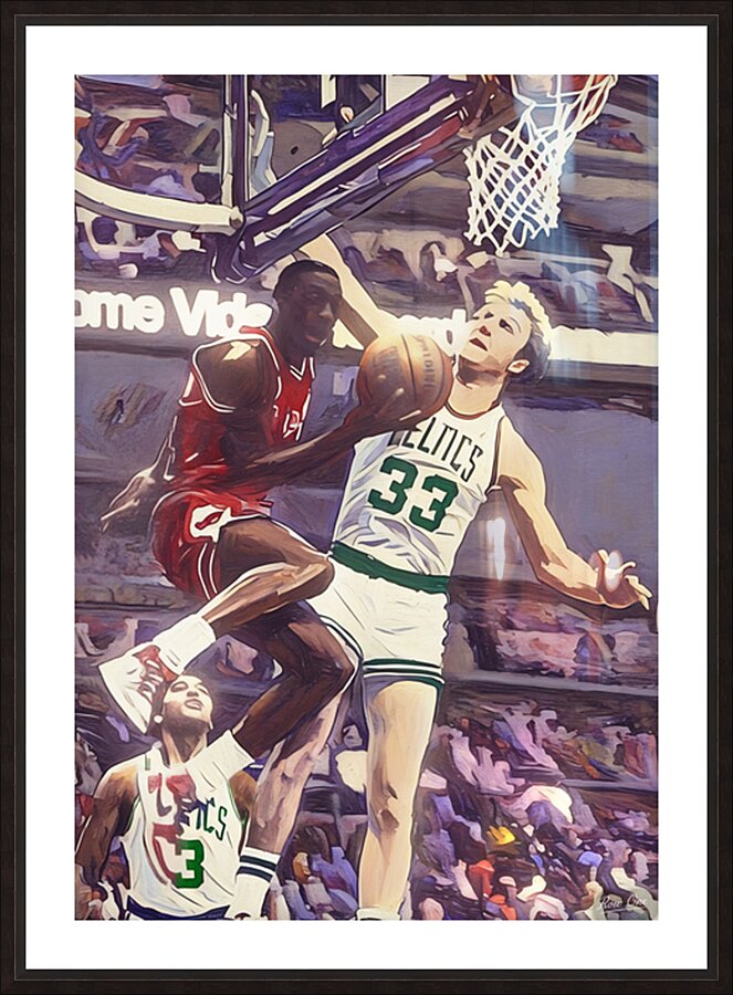 1986 Jordan Reverse Against Bird Picture Frame print