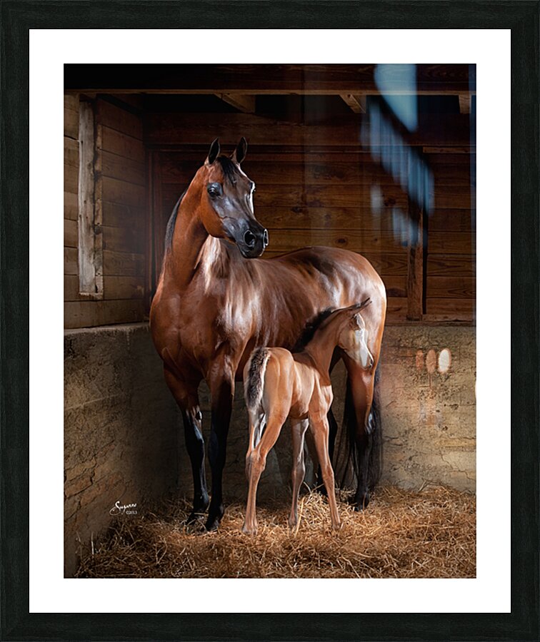 Old Barn Collection Mare and Foal Picture Frame print