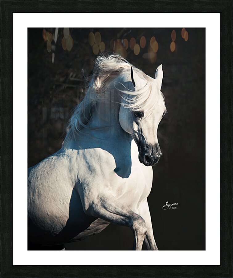 Nadir Picture Frame print