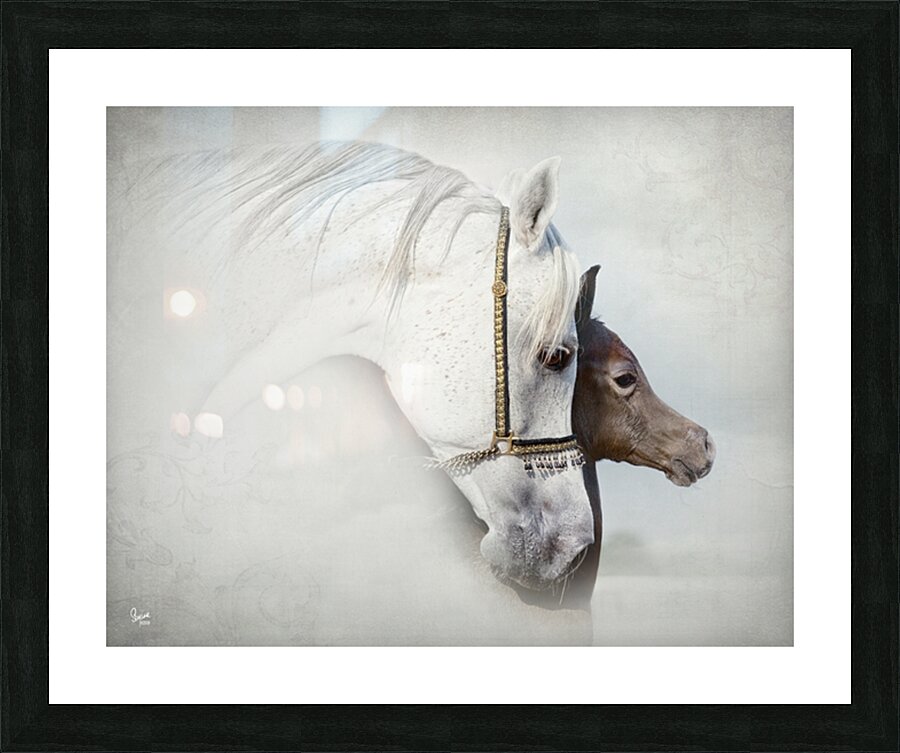 Isheena Picture Frame print