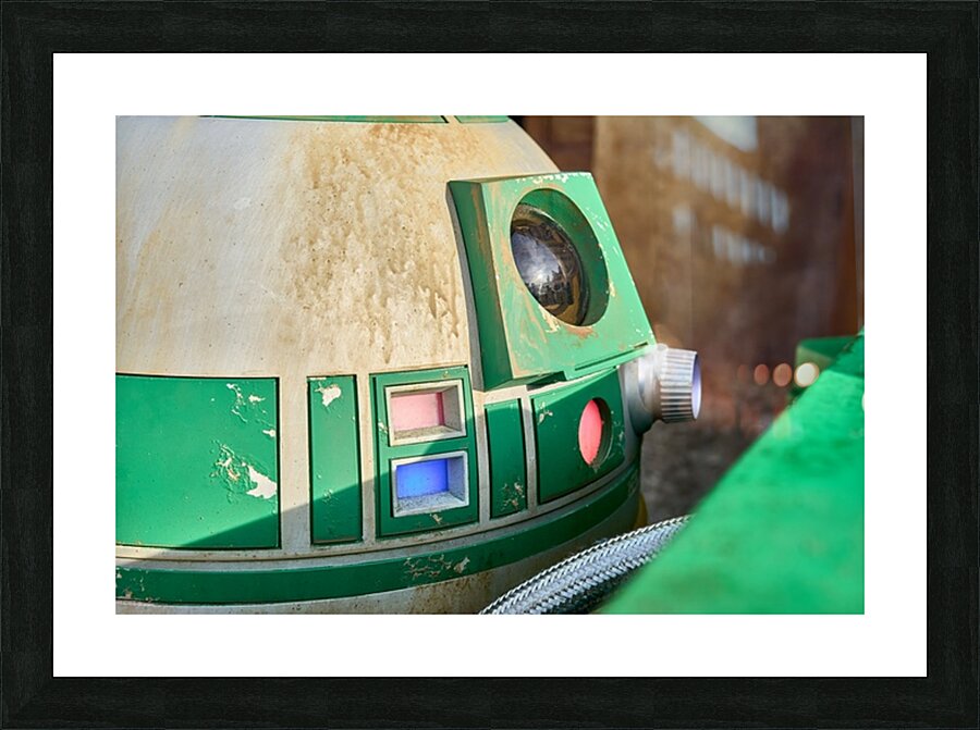 Droid Companion Details Picture Frame print