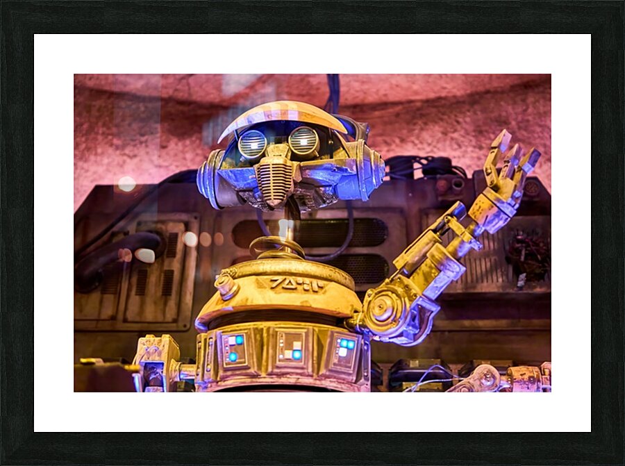 Droid DJ Dance Party Picture Frame print