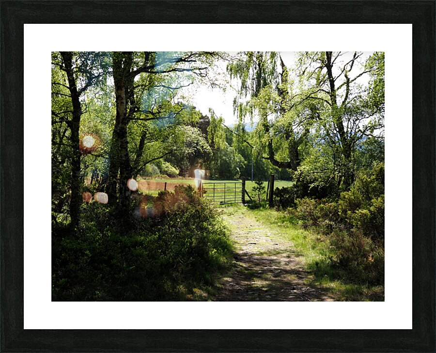 Scottish Highlands Spring                                                                                                        Picture Frame print