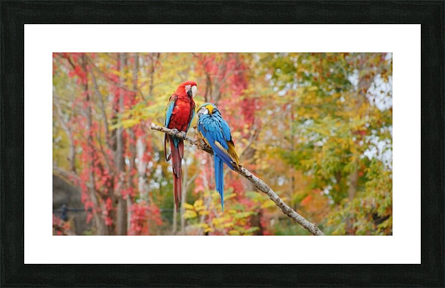  Fine Art print