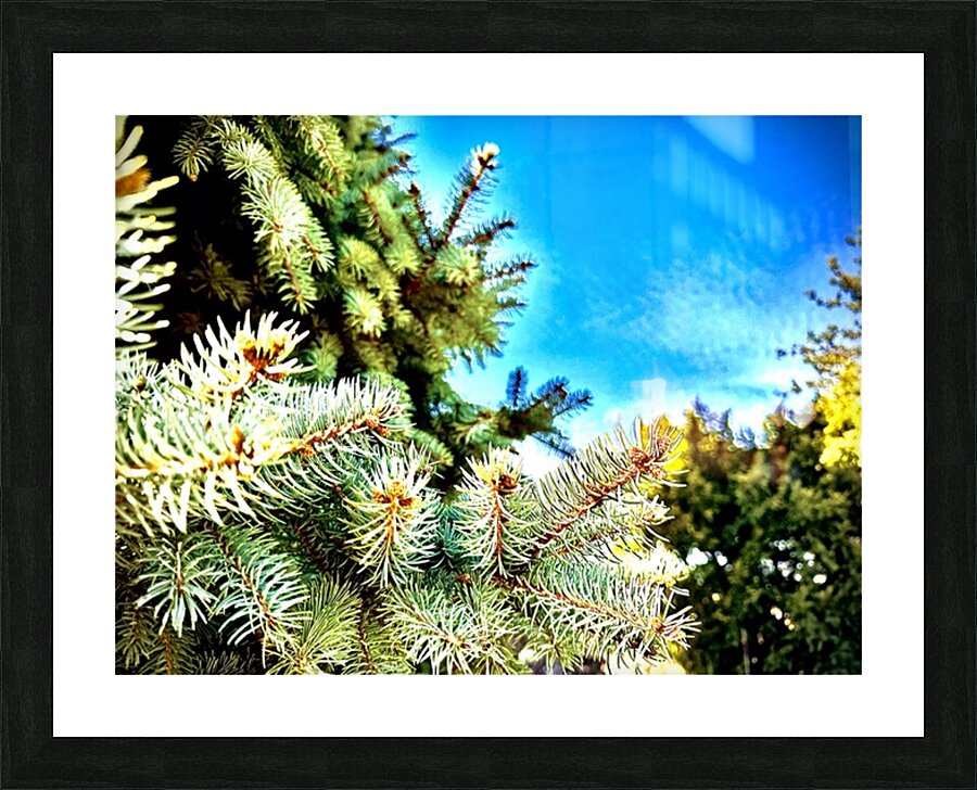 Fine Art print