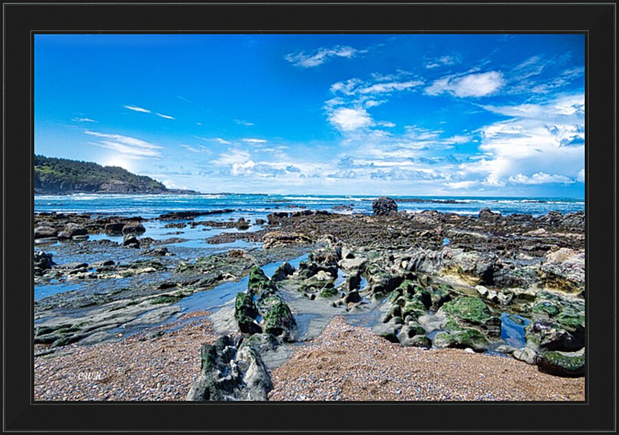 PRIMORDIAL_Holt_RezN888  Framed Print Print