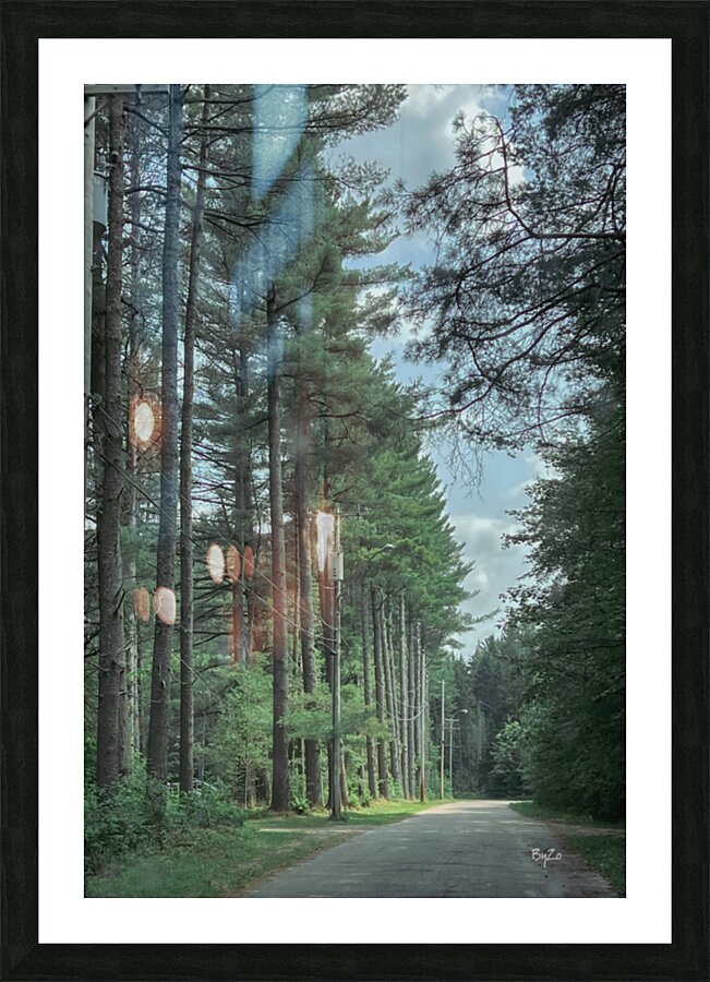 Lined Trees Art Print - Adirondack Mountains  Picture Frame print