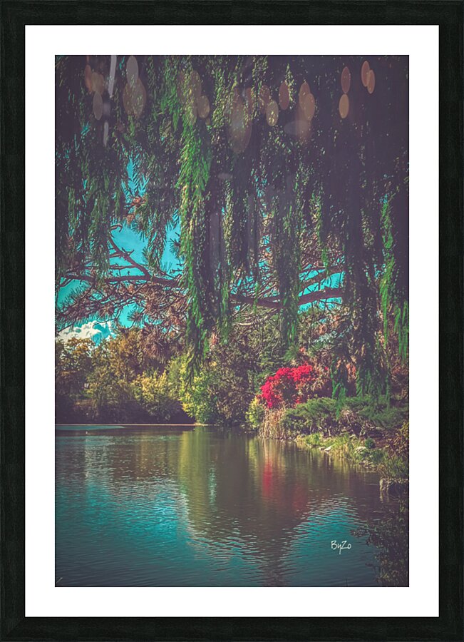 Autumns Palette: Evergreen Pines and Vibrant Perennials by the Reflective Lake Picture Frame print