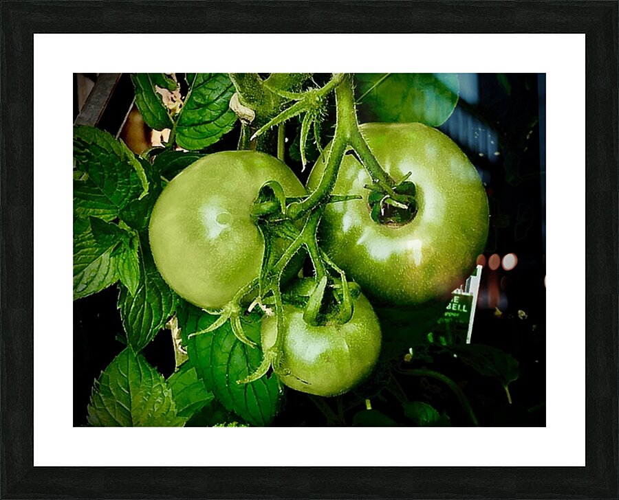  Fine Art print
