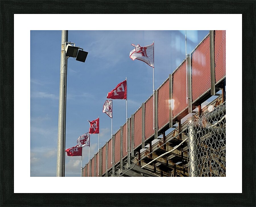  Fine Art print