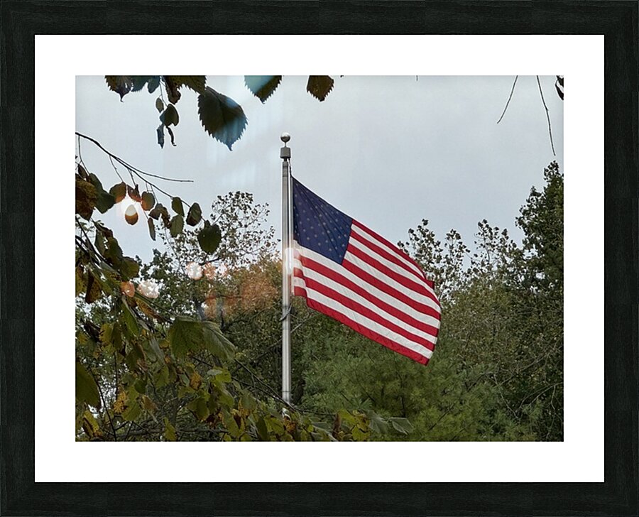  Fine Art print