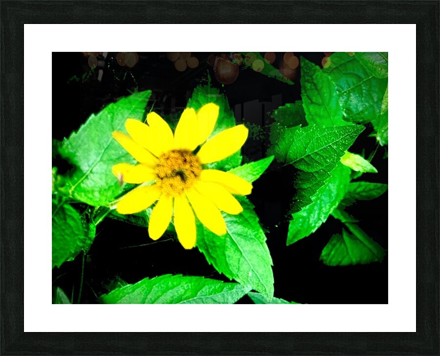  Fine Art print