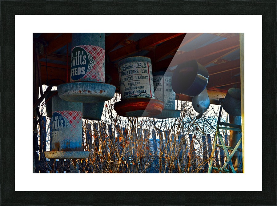  Fine Art print