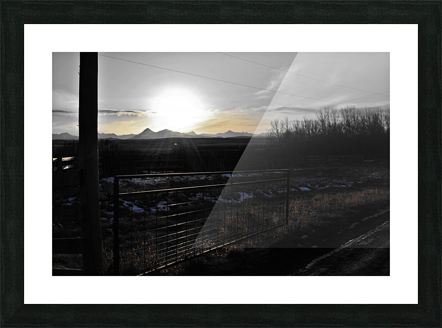  Fine Art print