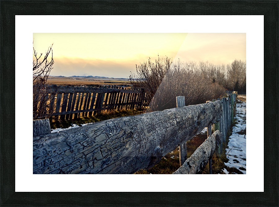  Fine Art print