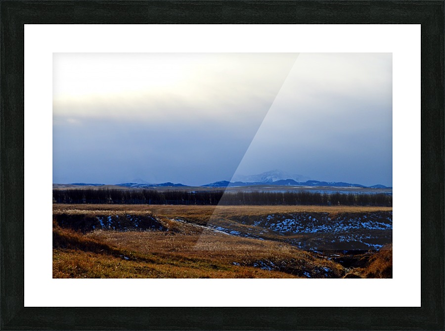  Fine Art print
