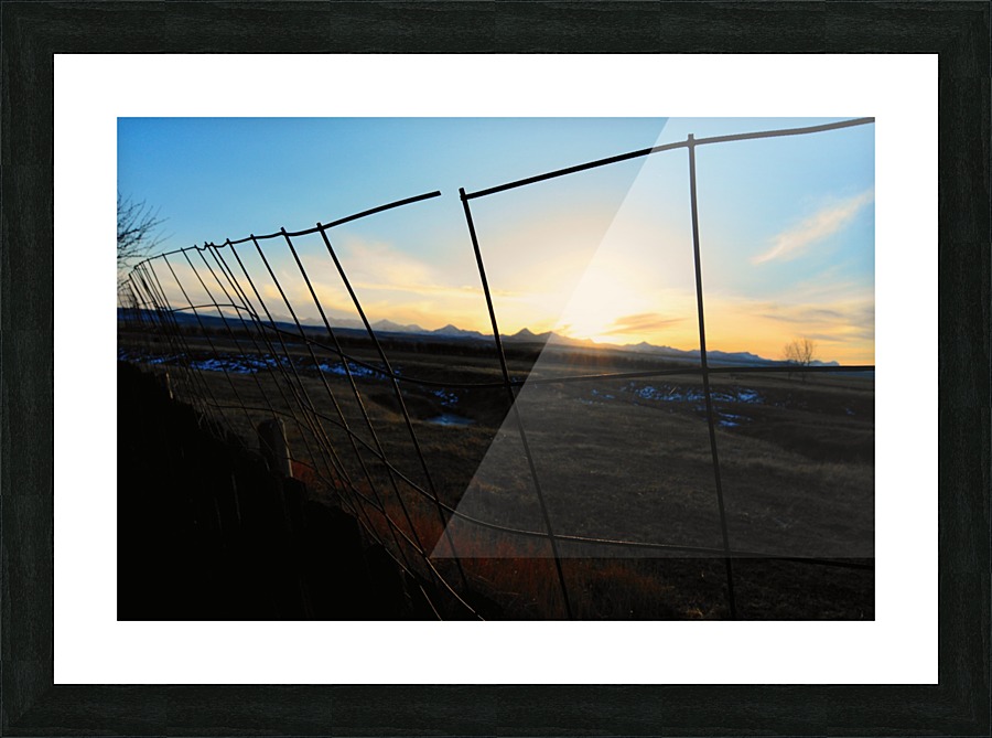  Fine Art print