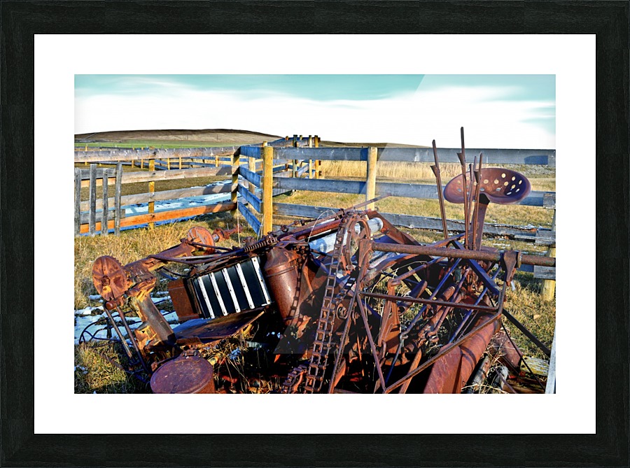  Fine Art print