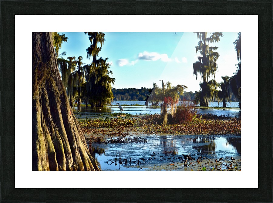  Fine Art print