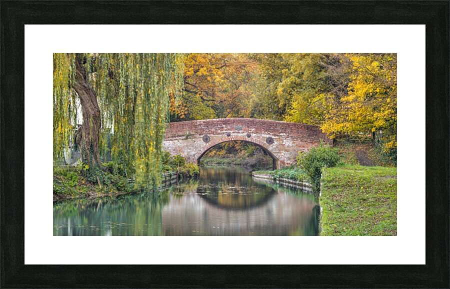  Fine Art print