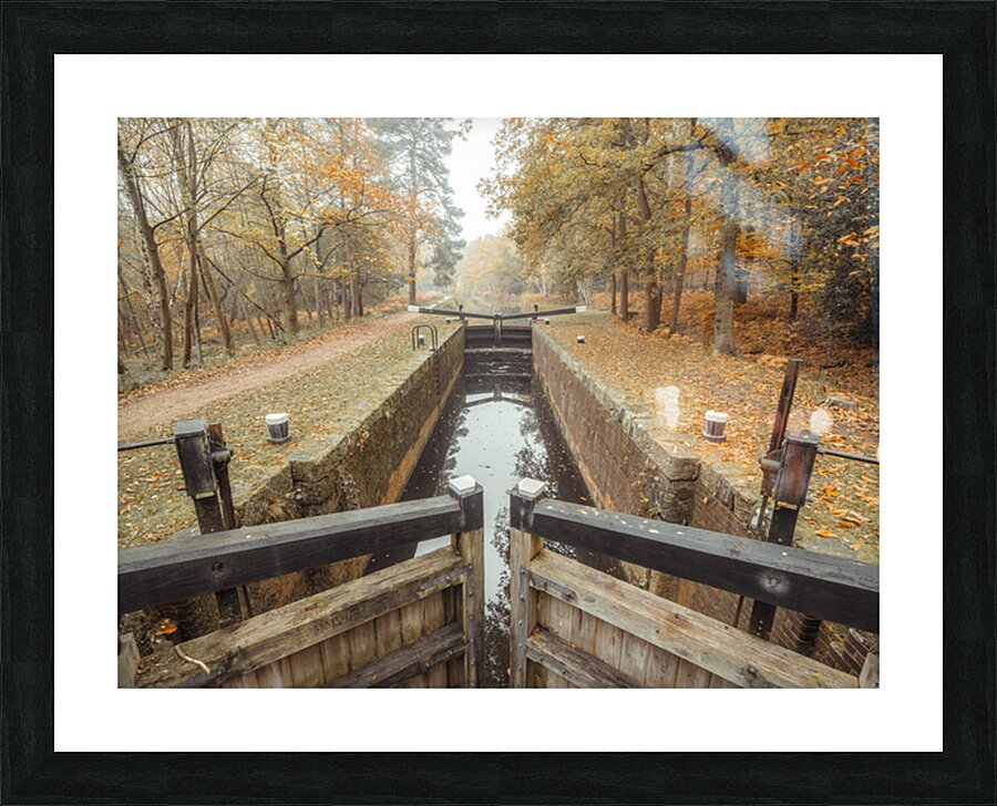  Fine Art print