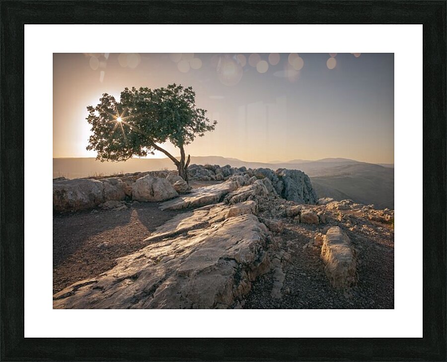  Fine Art print