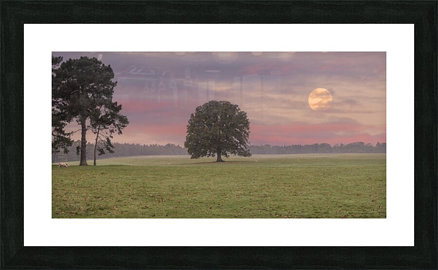  Fine Art print
