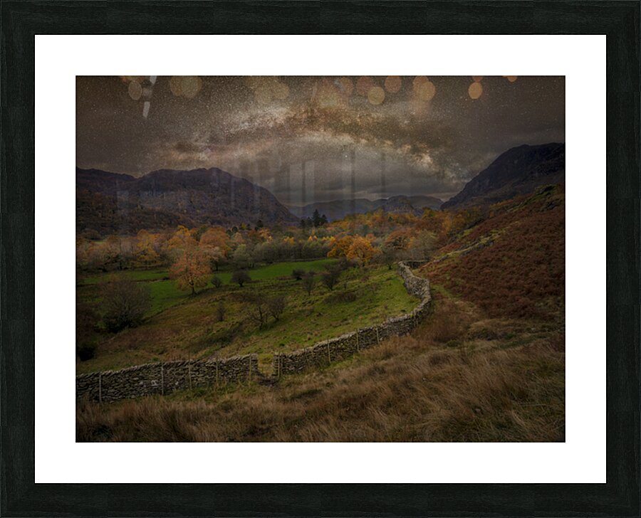  Fine Art print