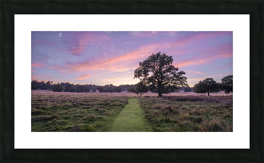  Fine Art print