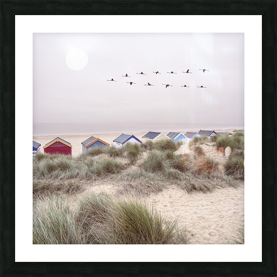  Fine Art print