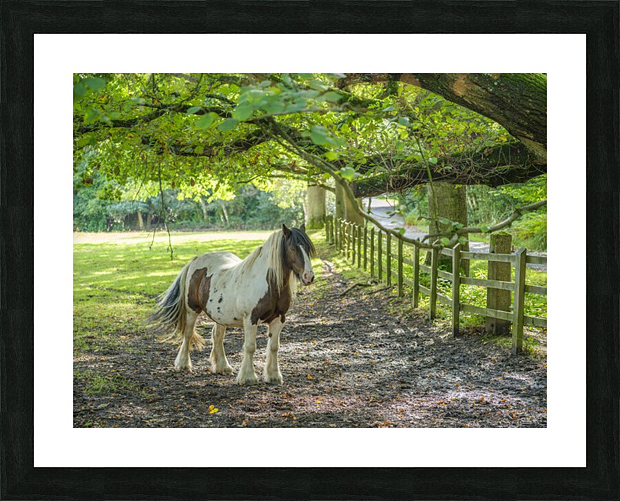  Fine Art print