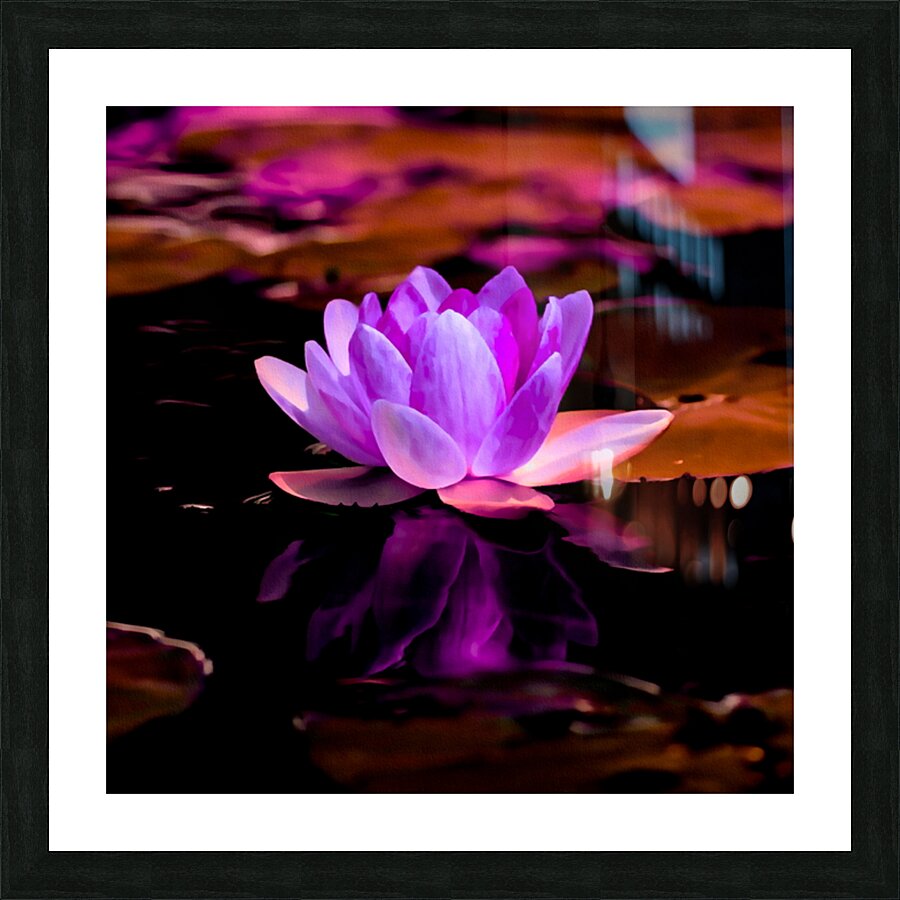  Fine Art print