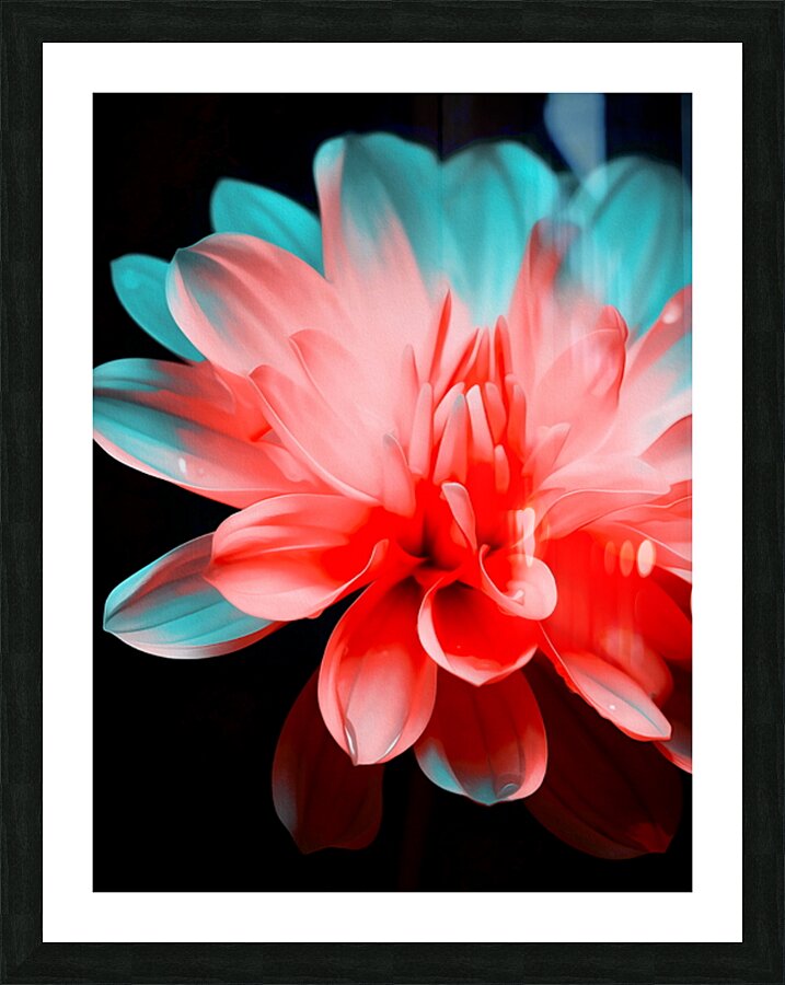  Fine Art print