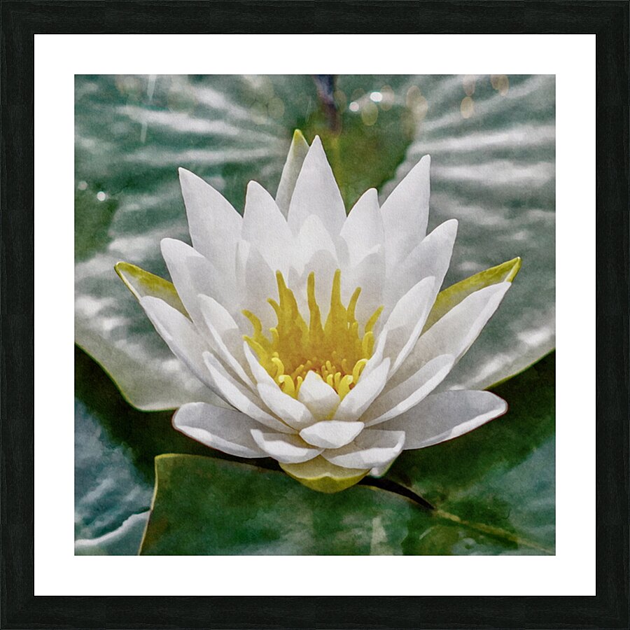  Fine Art print