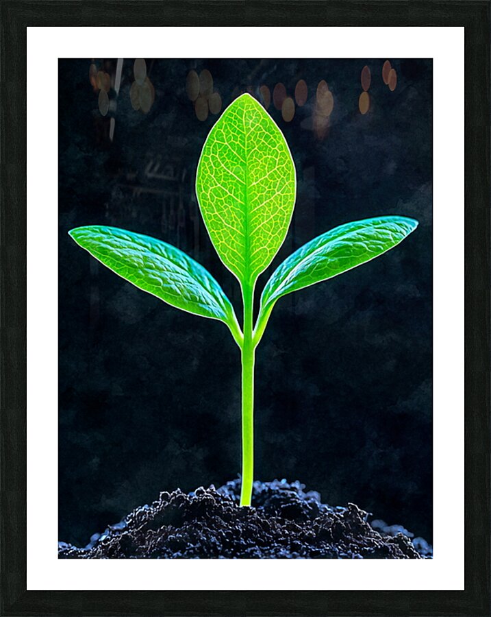  Fine Art print