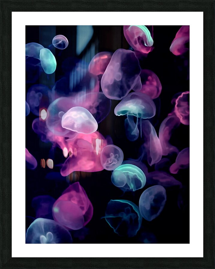  Fine Art print