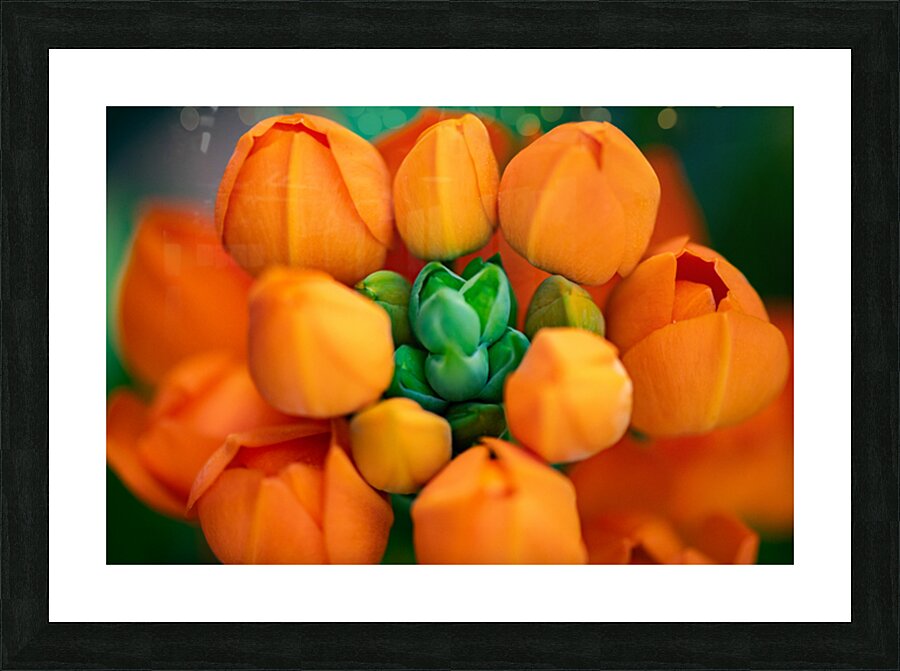 Spring Florals 5 Picture Frame print